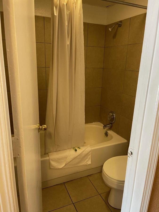 American Motel 2*